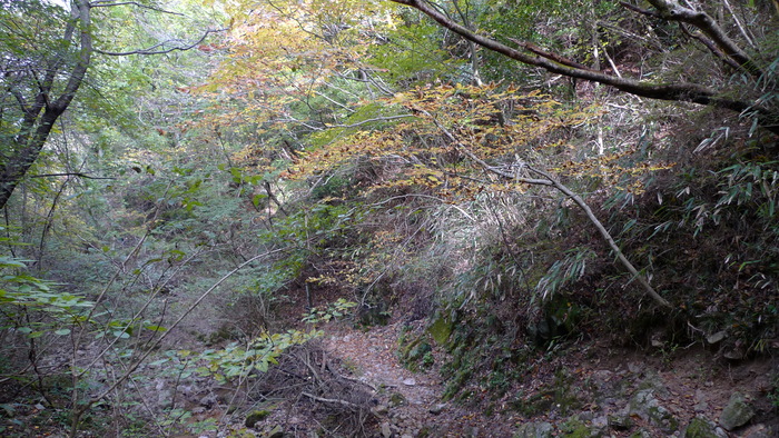 e0024081_181935.jpg