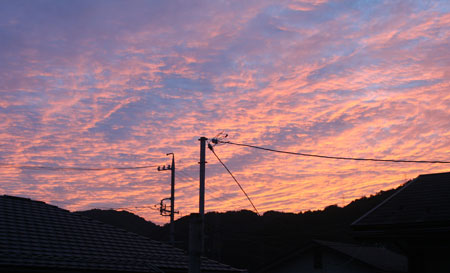 c0045882_2320377.jpg