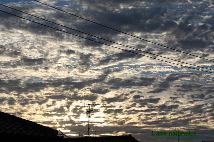 c0161886_209336.jpg