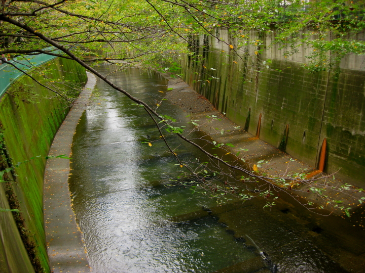 f0164989_7265449.jpg