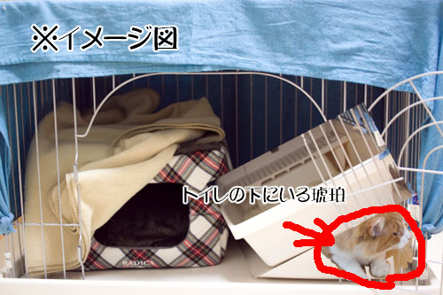もぐラー琥珀 トイレの下にもぐった琥珀のイメージ図