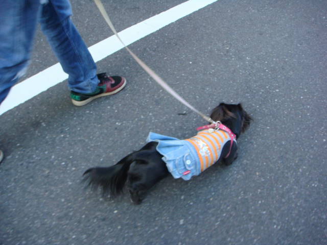 d0098295_0163334.jpg