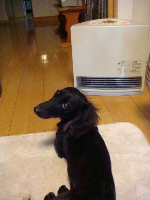 d0098295_0283075.jpg