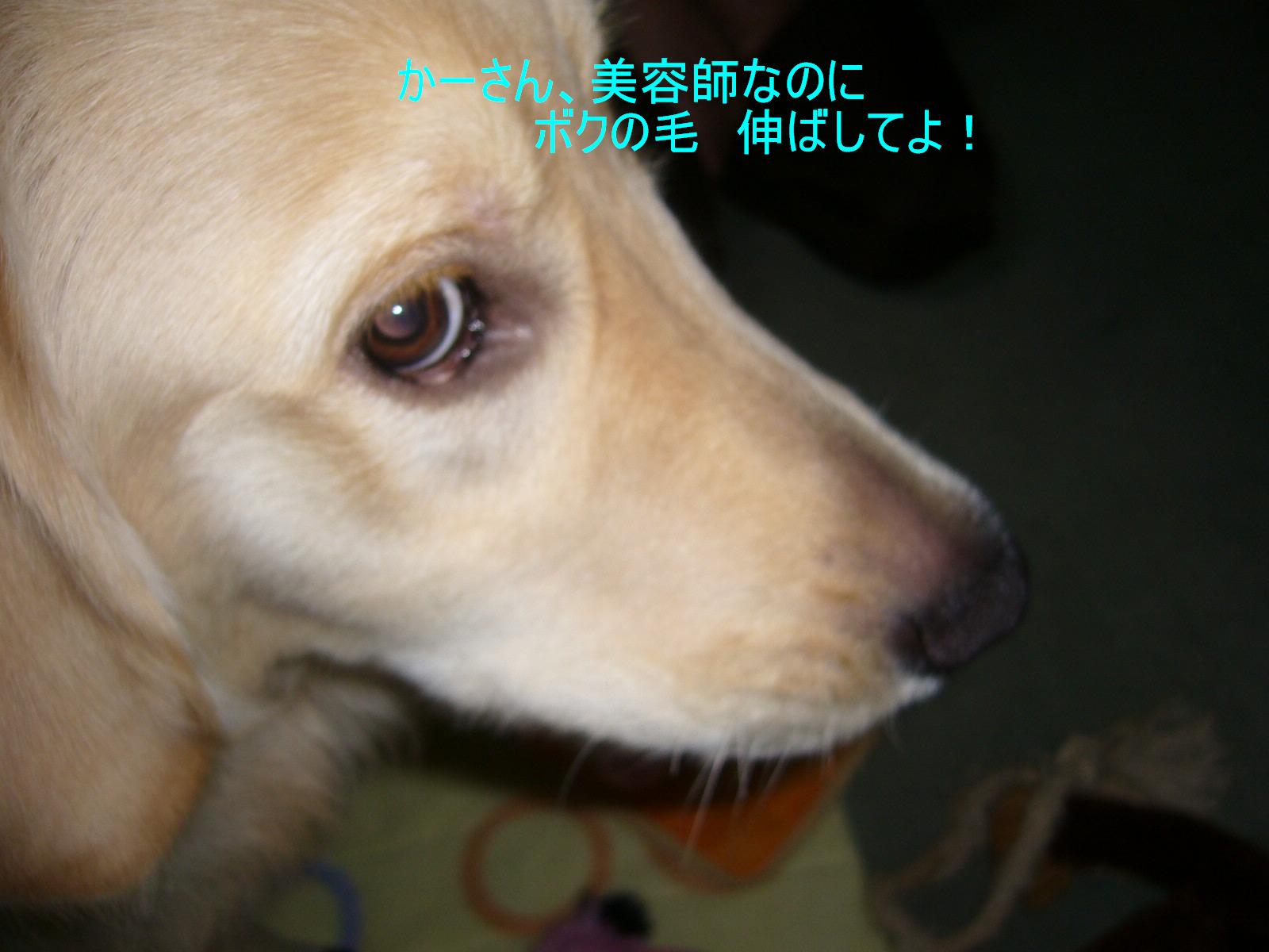 b0206300_10535737.jpg