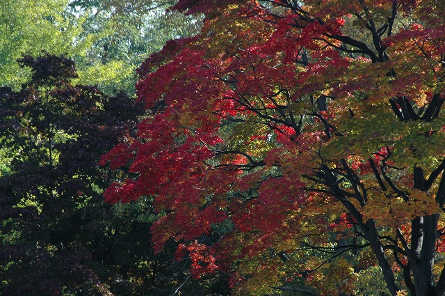 f0157901_2033654.jpg