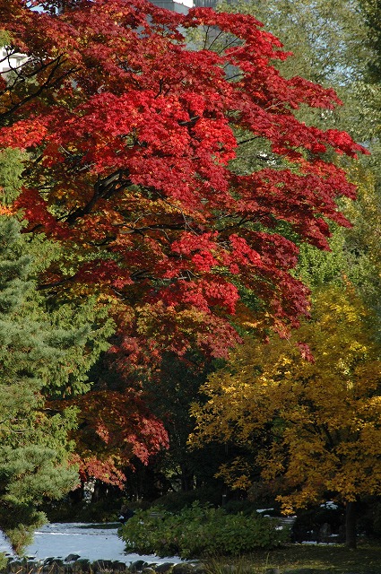 f0157901_2041970.jpg