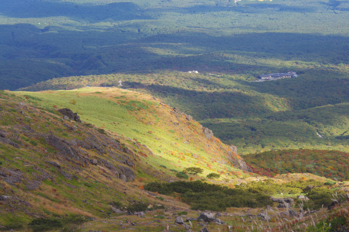 e0125305_2282510.jpg