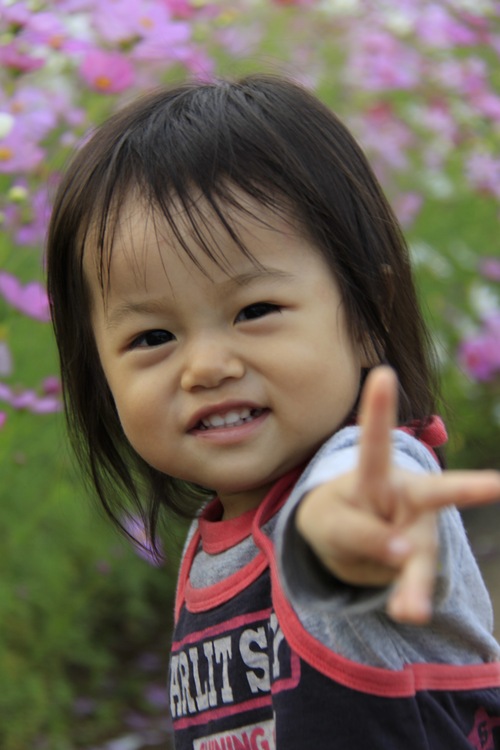 f0201607_558889.jpg