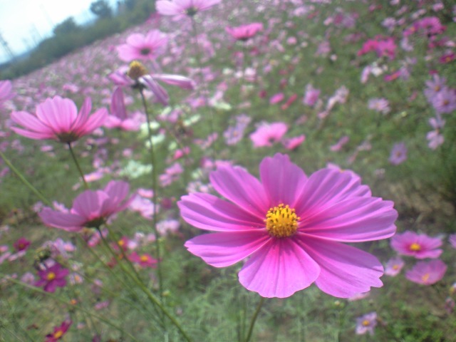 d0051418_19531543.jpg