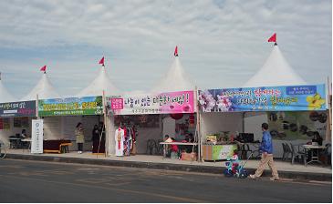 a0115924_15541377.jpg