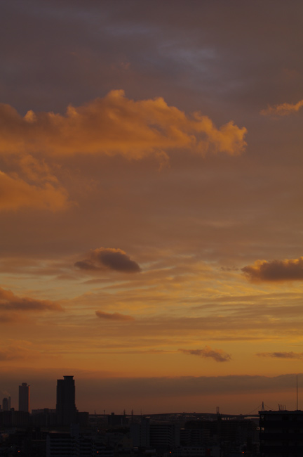 a0145825_21112681.jpg