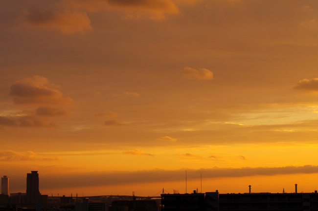 a0145825_2183656.jpg