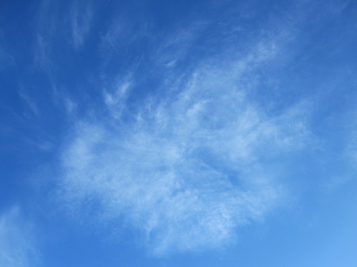 a0162635_1015622.jpg