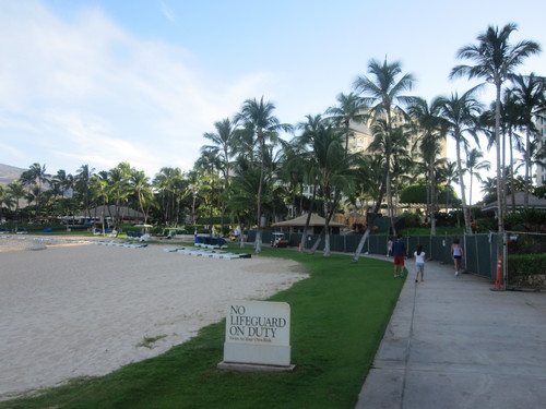 a0162635_956536.jpg