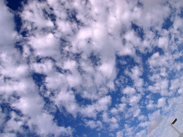 c0162536_16205962.jpg
