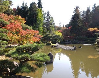 f0045736_852525.jpg