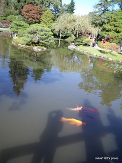 f0045736_852534.jpg