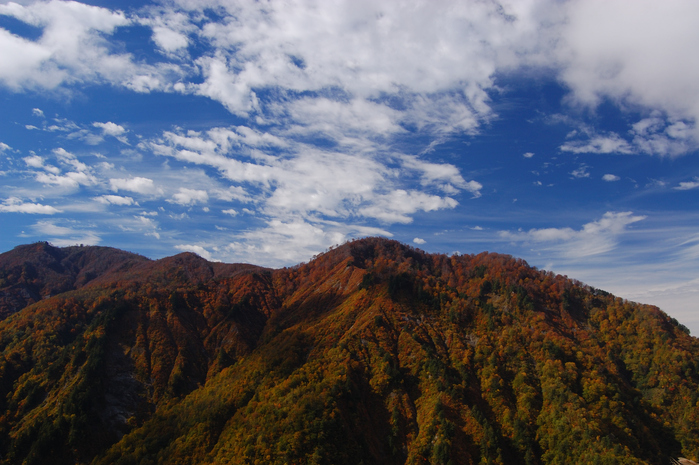 e0055138_1436916.jpg