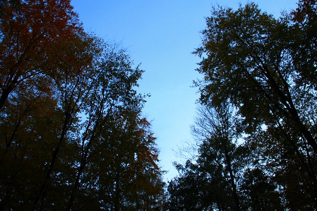 c0153740_4295316.jpg