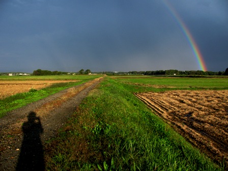 c0204740_1911867.jpg