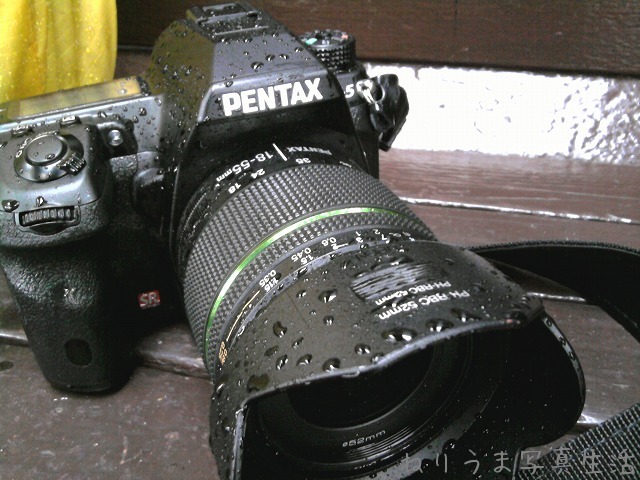 a0009142_22175659.jpg