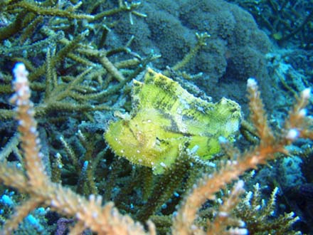 f0014842_158026.jpg