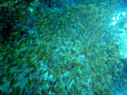 f0014842_1581189.jpg