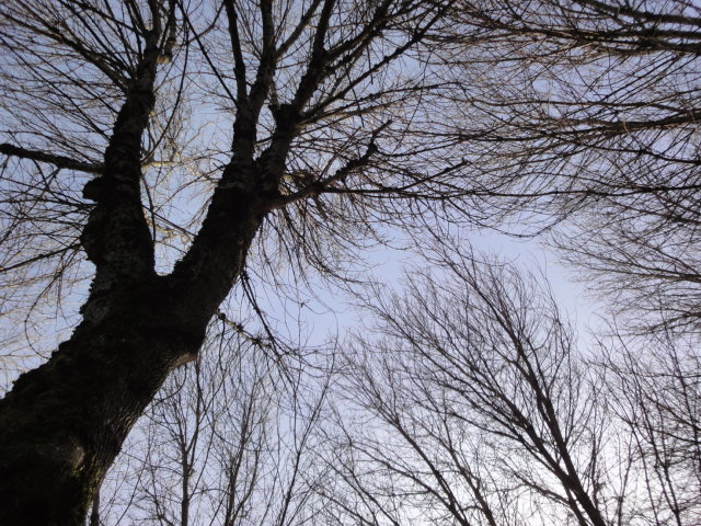 e0155643_14231988.jpg