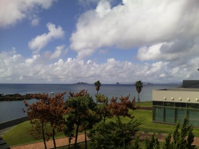d0142944_12333176.jpg