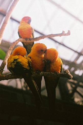 f0234644_11421774.jpg