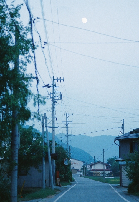 a0146045_1646518.jpg