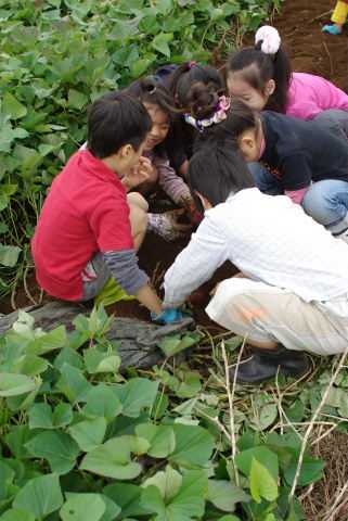 e0145248_0141018.jpg
