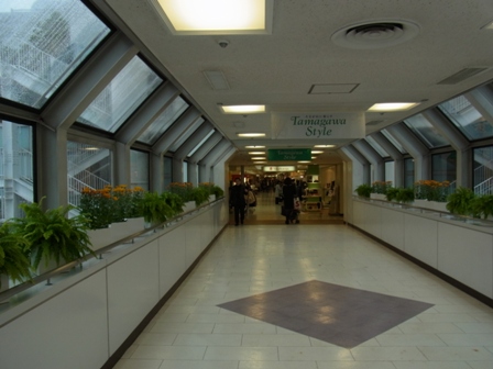 e0183648_15203372.jpg