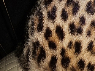 a0159652_23405036.jpg