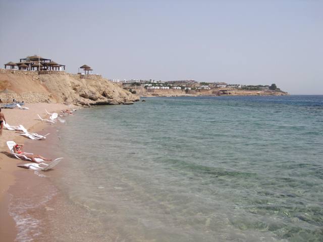 b0173754_1201469.jpg