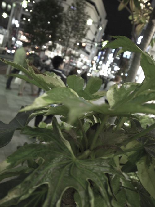 b0122664_135560.jpg