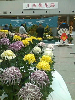 f0061067_18565910.jpg