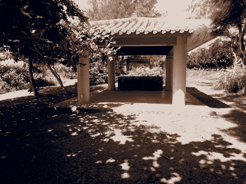 b0138768_2225666.jpg