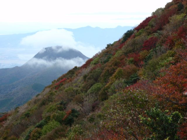 c0042869_2010588.jpg