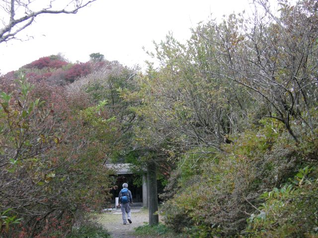 c0042869_20112466.jpg