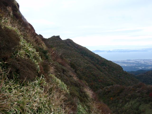 c0042869_20143916.jpg