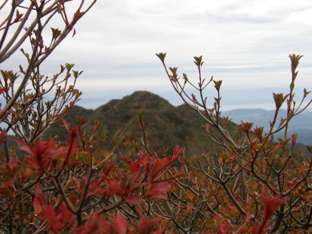 c0042869_20184783.jpg