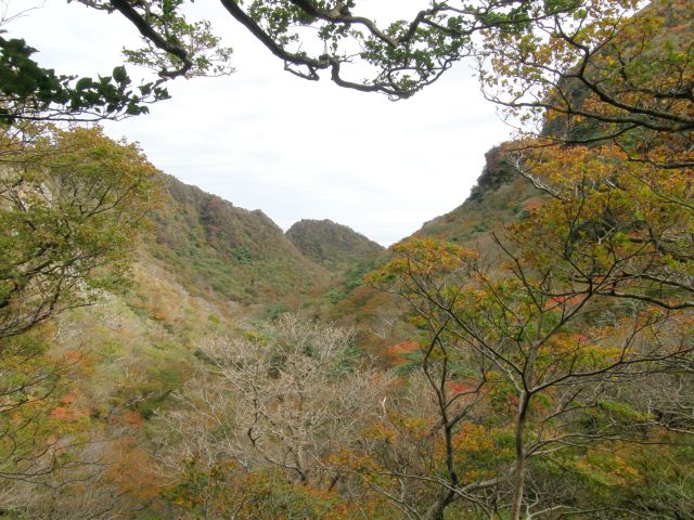 c0042869_20211336.jpg