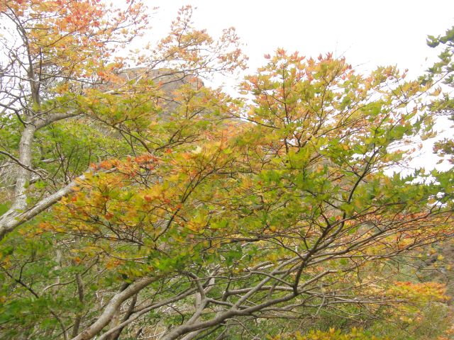 c0042869_20212967.jpg
