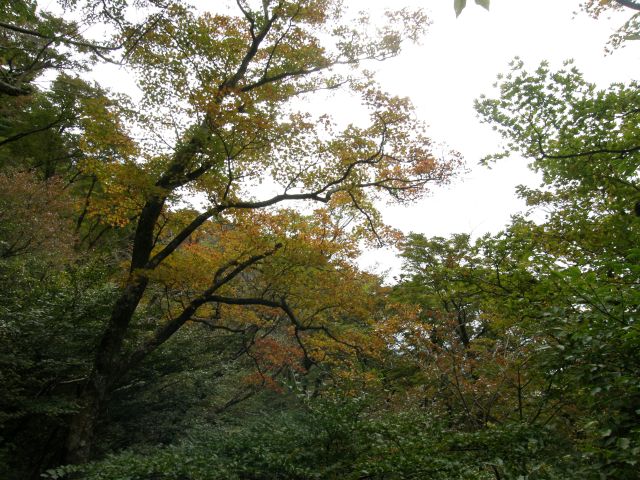 c0042869_20285612.jpg