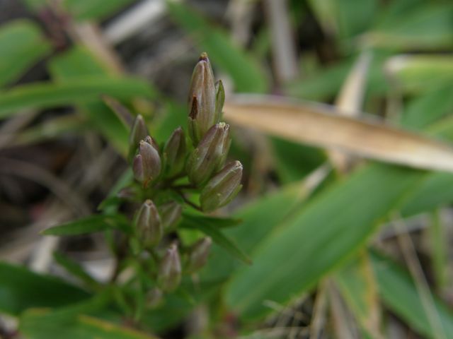 c0042869_2035533.jpg