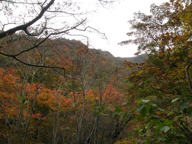 c0042869_6521827.jpg