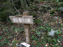 c0042869_6585352.jpg
