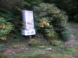 c0042869_6592770.jpg
