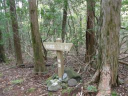 c0042869_659678.jpg